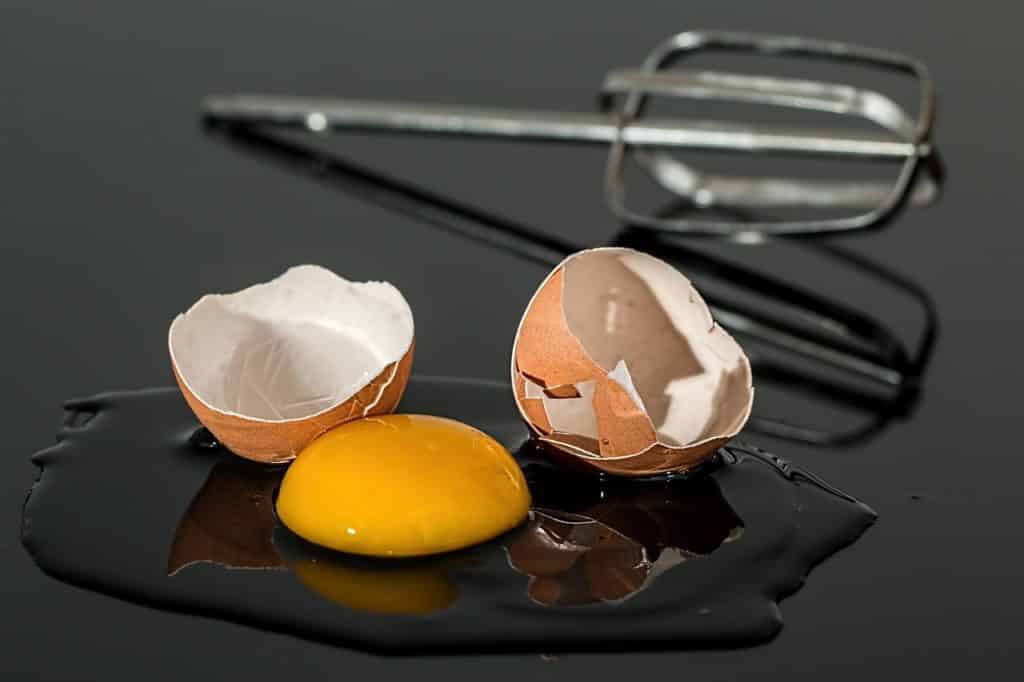 Dürfen Hunde Eier essen?